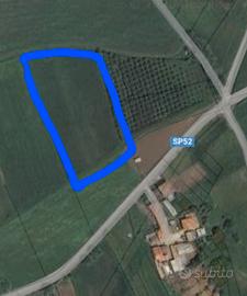 Terreno agricolo