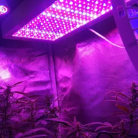 Lampada Led per Coltivare Piante 30cm,2000W