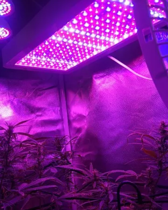 Lampada Led per Coltivare Piante 30cm,2000W