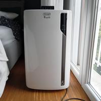 Pinguino DeLonghi: per un clima sempre godibile.