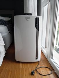 Pinguino DeLonghi: per un clima sempre godibile.