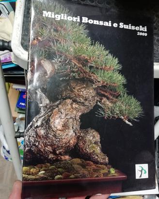 Libro su Bonsai e Suiseki 2009
