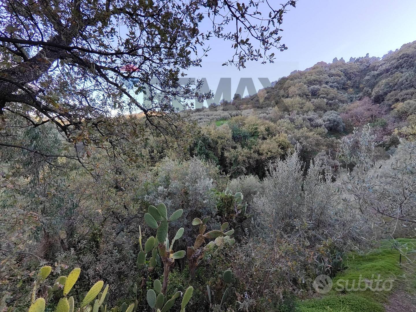 Terreno - Barcellona Pozzo di Gotto - Vista 3