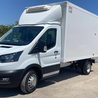 Ford transit frigo 06/2024