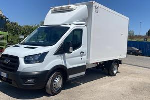 Ford transit frigo 06/2024
