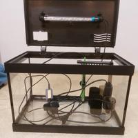 aquario 30 litri 