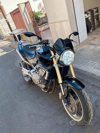 honda hornet 