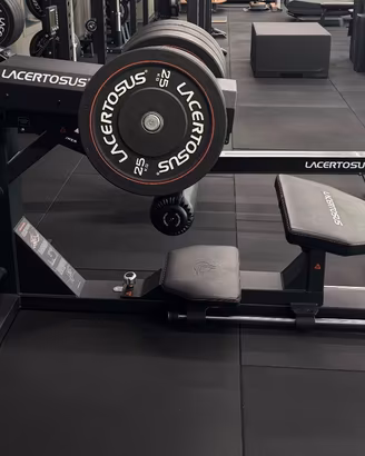 Hip Thrust/Glute Thruster Lacertosus®  come nuova