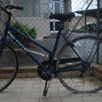 BICICLETTA CON QUALCHE LAVORETTO DA FARCI