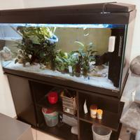 Acquario con mobile
