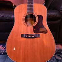 Gibson Dsm Acoustic