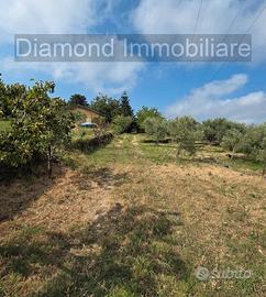 Terreno edificabile e agricolo con casa a Mascali