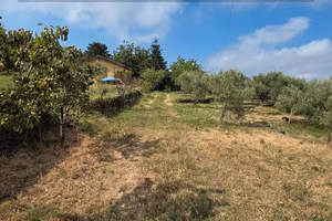 Terreno edificabile e agricolo con casa a Mascali