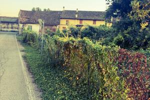 Casa rurale con annesso terreno