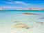 Immagine 16