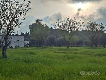 Terreno edificabile