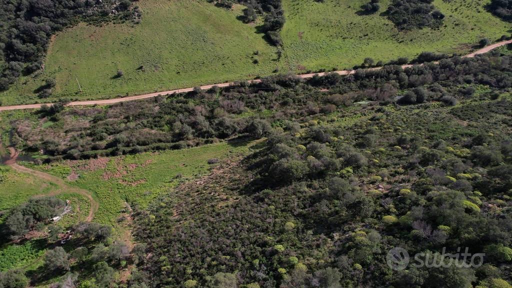 Terreno di 25000 m² a Loiri Porto San Paolo - Vista 4