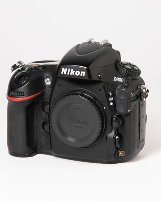 Nikon D800 Nital - solo corpo