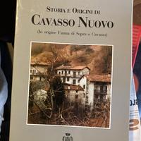 Storia e origini di Cavasso Nuovo