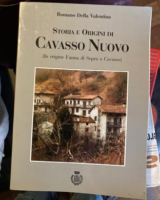 Storia e origini di Cavasso Nuovo