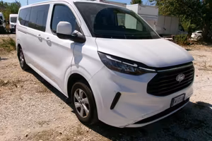 FORD Transit Custom 320 2.0EcoBlue150CV PLungo 9