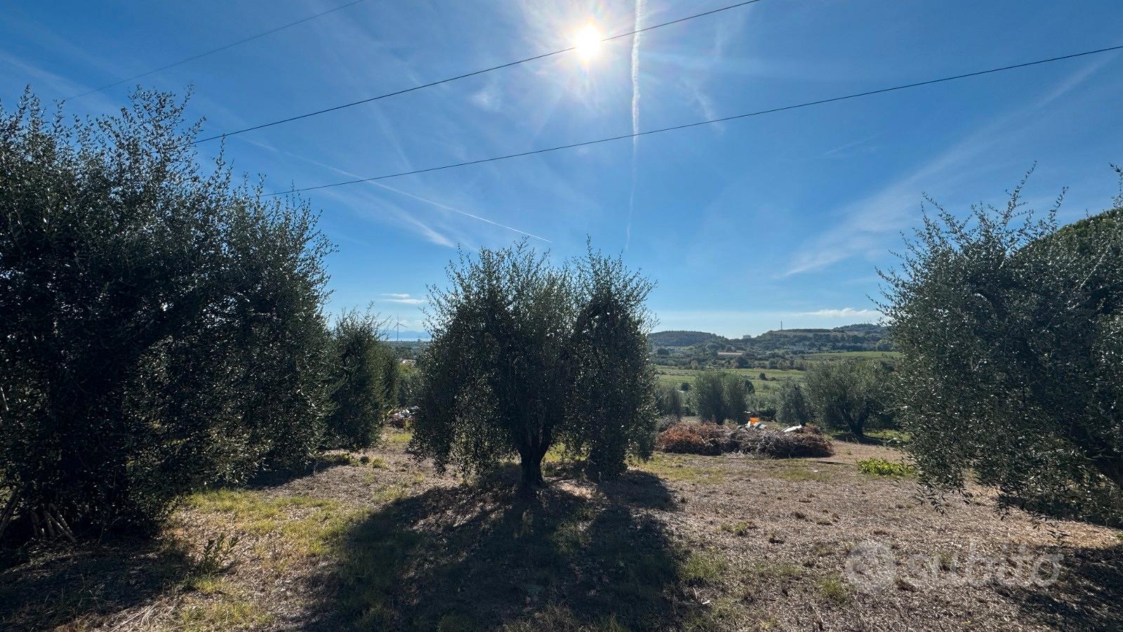 Lotto di terreno agricolo con annesso - Vista 2