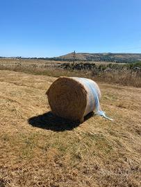 Rotoballe di fieno