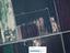 Immagine 29