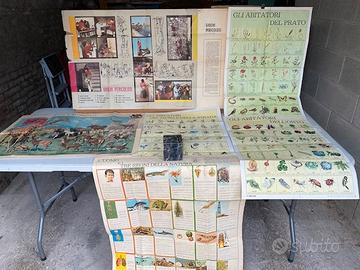 Manifesti Poster Didattici Anni '60 Nr. 6 pz.