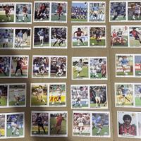 Figurine Calciatori 91 92 PANINI SET COMPLETO.