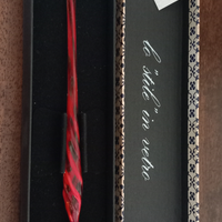 Penna in vetro soffiato di Murano