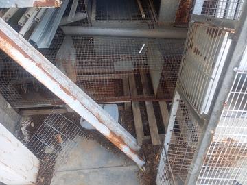 Vendo gabbie conigli usate