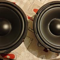 Coppia woofer 20cm 100w rms