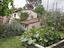 Immagine 12