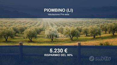 Immobile in asta di 80 m² a Piombino