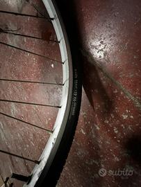 Bici da donna