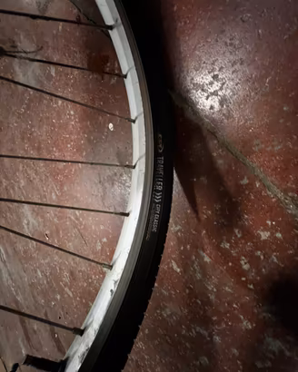 Bici da donna