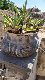 VASO ANTICO    ( miglior offerente )