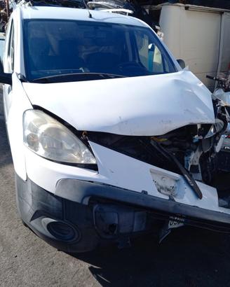 Ricambi Originali Peugeot Partner 2008 1.6 Diesel 