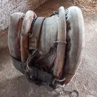 Basti per muli e per cavalli