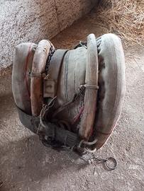 Basti per muli e per cavalli