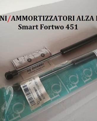 coppia pistoni alza lunotto Smart Fortwo 451 2007 