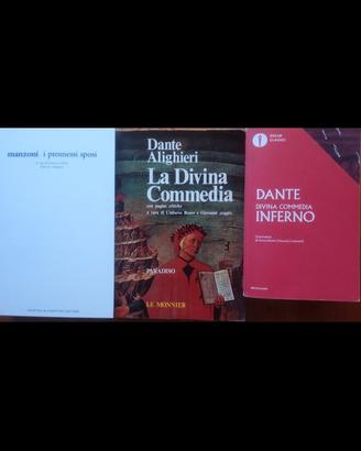 Libri letteratura scolastici 
