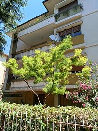 Appartamento Via Campania 8 Foligno