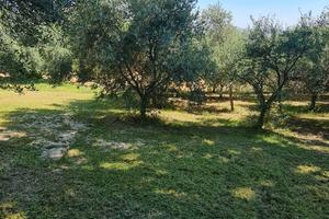 Piccolo terreno da 4.000 m.q fabbricabili