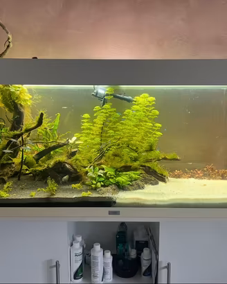 ACQUARIO JUWEL 240