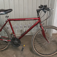 Bicicletta