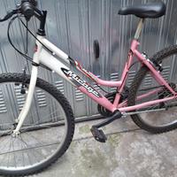 Bici Donna