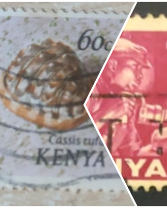 Lotto Francobolli Vintage Kenya - Tematica Conchig