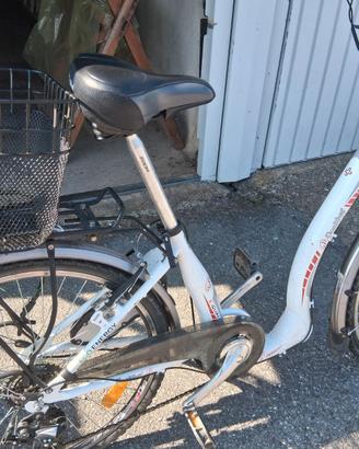 bicicletta elettrica